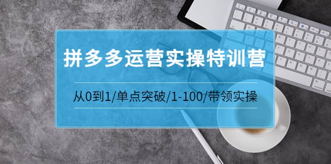 拼多多运营实操特训营：从0到1/单点突破/1-100/带领实操 价值2980元网创吧-网创项目资源站-副业项目-创业项目-搞钱项目网创吧