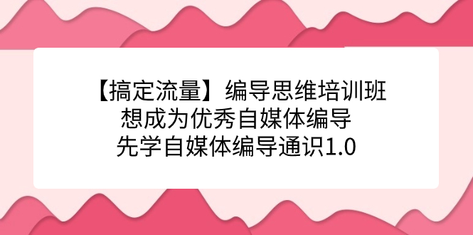 【搞定流量】编导思维培训班，想成为优秀自媒体编导先学自媒体编导通识1.0网创吧-网创项目资源站-副业项目-创业项目-搞钱项目网创吧