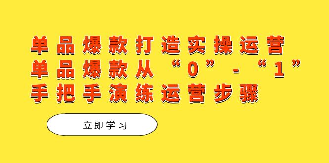 单品爆款打造实操运营，单品爆款从“0”-“1”手把手演练运营步骤网创吧-网创项目资源站-副业项目-创业项目-搞钱项目网创吧