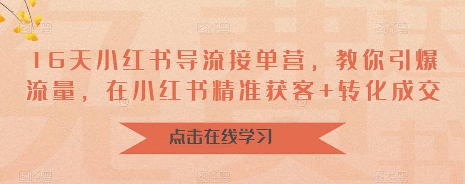 16天-小红书 导流接单营，教你引爆流量，在小红书精准获客+转化成交网创吧-网创项目资源站-副业项目-创业项目-搞钱项目网创吧