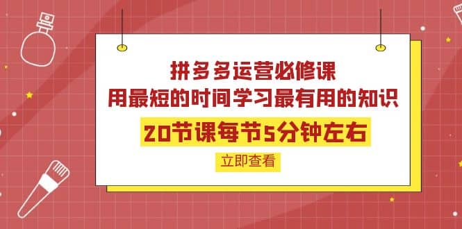 拼多多运营必修课：20节课每节5分钟左右，用最短的时间学习最有用的知识网创吧-网创项目资源站-副业项目-创业项目-搞钱项目网创吧