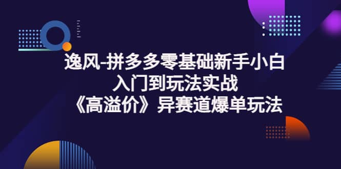 拼多多零基础新手小白入门到玩法实战《高溢价》异赛道爆单玩法实操课网创吧-网创项目资源站-副业项目-创业项目-搞钱项目网创吧