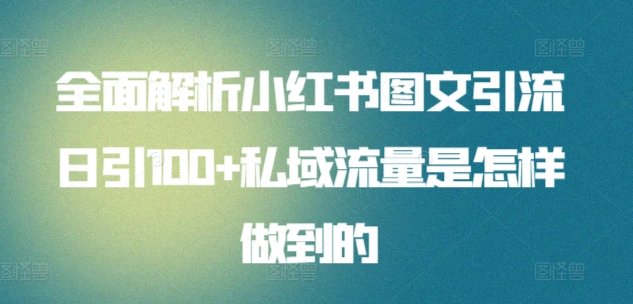 全面解析小红书图文引流日引100私域流量是怎样做到的网创吧-网创项目资源站-副业项目-创业项目-搞钱项目网创吧