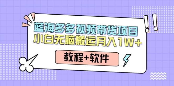 人人都能操作的蓝海多多视频带货项目 小白无脑搬运（教程+软件）网创吧-网创项目资源站-副业项目-创业项目-搞钱项目网创吧