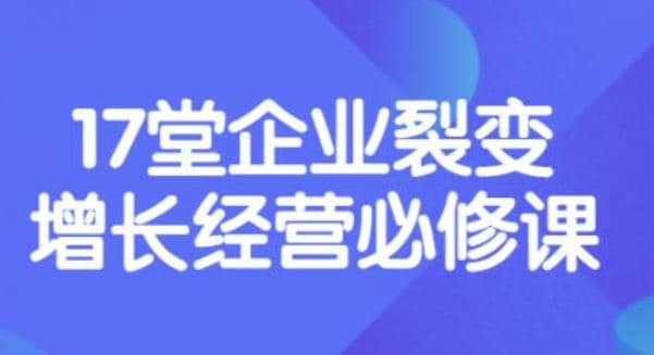 《盈利增长17堂必修课》企业裂变增长的经营智慧，带你了解增长的本质网创吧-网创项目资源站-副业项目-创业项目-搞钱项目网创吧