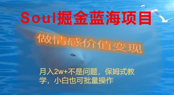 Soul掘金蓝海项目细分赛道，做情感价值变现，月入2w+不是问题网创吧-网创项目资源站-副业项目-创业项目-搞钱项目网创吧