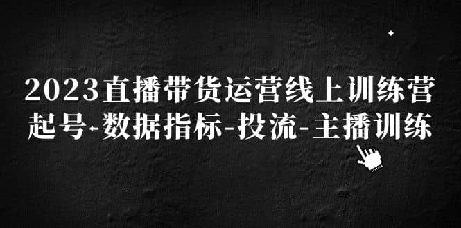 2023直播带货运营线上训练营，起号-数据指标-投流-主播训练网创吧-网创项目资源站-副业项目-创业项目-搞钱项目网创吧