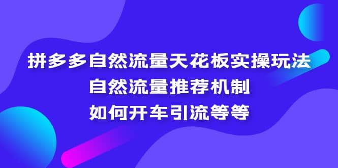 拼多多自然流量天花板实操玩法：自然流量推荐机制，如何开车引流等等网创吧-网创项目资源站-副业项目-创业项目-搞钱项目网创吧