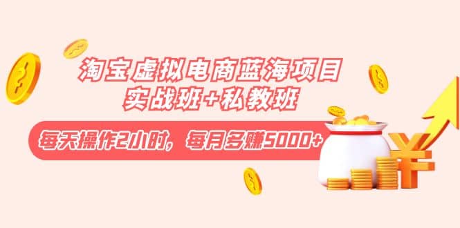 淘宝虚拟电商蓝海项目实战班+私教班网创吧-网创项目资源站-副业项目-创业项目-搞钱项目网创吧