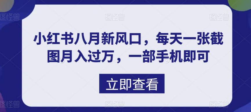 八月新风口，小红书虚拟项目一天收入1000+，实战揭秘网创吧-网创项目资源站-副业项目-创业项目-搞钱项目网创吧