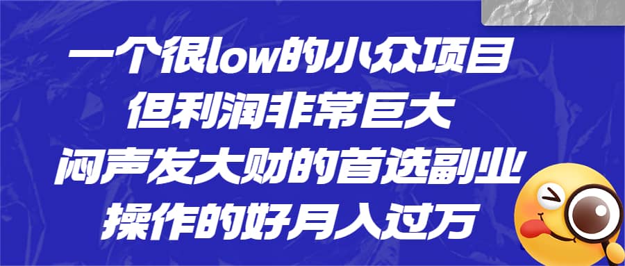 一个很low的小众项目，但利润非常巨大，闷声发大财的首选副业，月入过万网创吧-网创项目资源站-副业项目-创业项目-搞钱项目网创吧