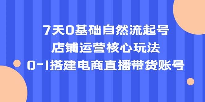 7天0基础自然流起号，店铺运营核心玩法，0-1搭建电商直播带货账号网创吧-网创项目资源站-副业项目-创业项目-搞钱项目网创吧