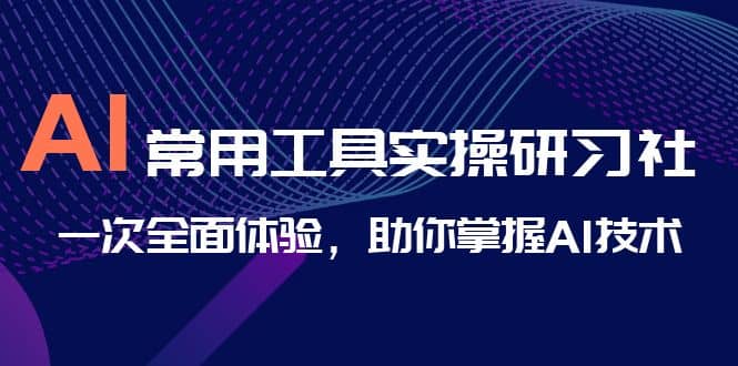 AI-常用工具实操研习社，一次全面体验，助你掌握AI技术网创吧-网创项目资源站-副业项目-创业项目-搞钱项目网创吧