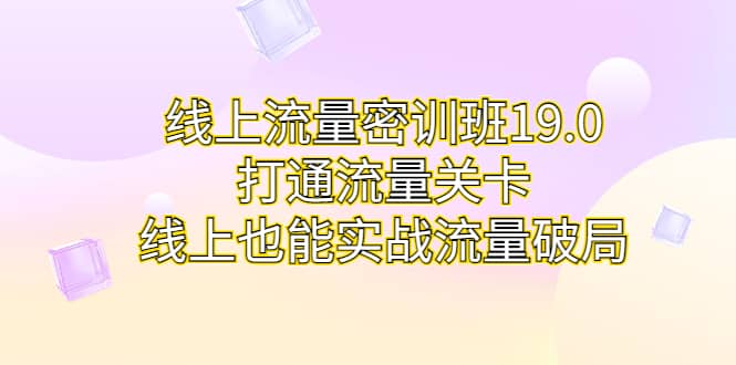 线上流量密训班19.0，打通流量关卡，线上也能实战流量破局网创吧-网创项目资源站-副业项目-创业项目-搞钱项目网创吧