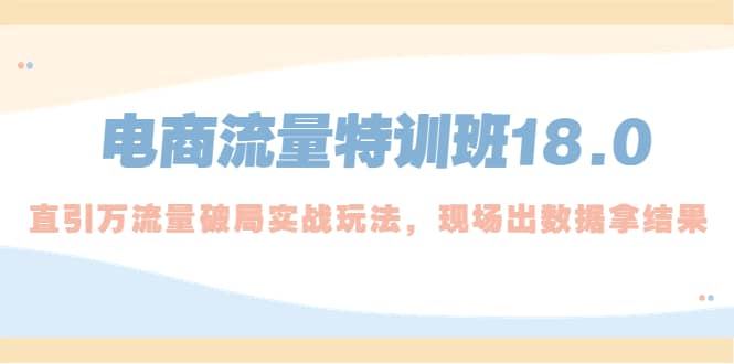 电商流量特训班18.0，直引万流量破局实操玩法，现场出数据拿结果网创吧-网创项目资源站-副业项目-创业项目-搞钱项目网创吧