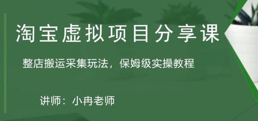 淘宝虚拟整店搬运采集玩法分享课：整店搬运采集玩法，保姆级实操教程网创吧-网创项目资源站-副业项目-创业项目-搞钱项目网创吧