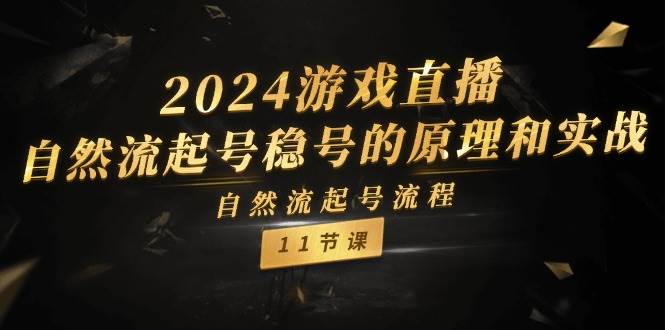 2024游戏直播-自然流起号稳号的原理和实战，自然流起号流程（11节）网创吧-网创项目资源站-副业项目-创业项目-搞钱项目网创吧