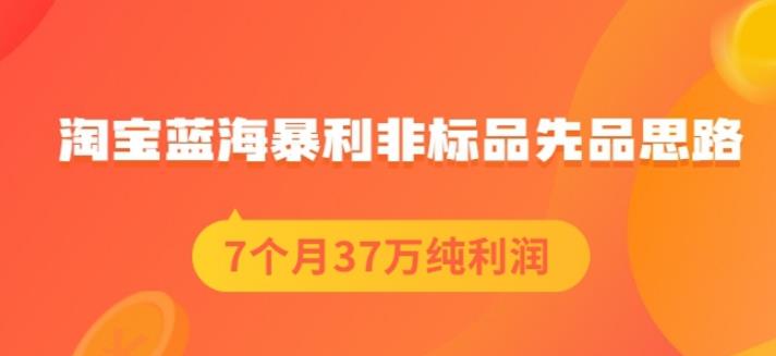 盗坤淘宝蓝海暴利非标品先品思路，7个月37万纯利润，压箱干货分享！【付费文章】网创吧-网创项目资源站-副业项目-创业项目-搞钱项目网创吧