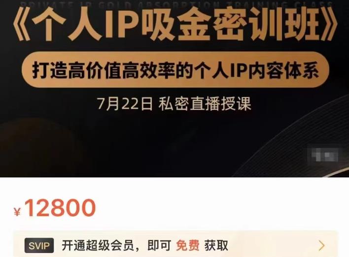 个人IP吸金密训班，打造高价值高效率的个人IP内容体系（价值12800元）网创吧-网创项目资源站-副业项目-创业项目-搞钱项目网创吧