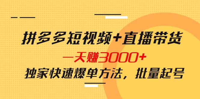 拼多多短视频+直播带货，一天赚3000+独家快速爆单方法，批量起号网创吧-网创项目资源站-副业项目-创业项目-搞钱项目网创吧