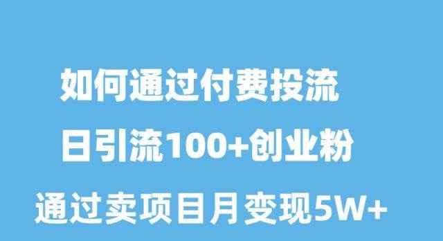 如何通过付费投流日引流100+创业粉月变现5W+网创吧-网创项目资源站-副业项目-创业项目-搞钱项目网创吧