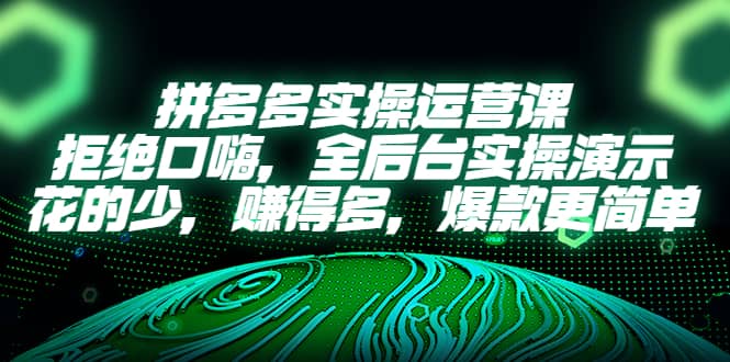 拼多多实操运营课：拒绝口嗨，全后台实操演示，花的少，赚得多，爆款更简单网创吧-网创项目资源站-副业项目-创业项目-搞钱项目网创吧