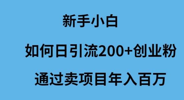 新手小白如何日引流200+创业粉通过卖项目年入百万网创吧-网创项目资源站-副业项目-创业项目-搞钱项目网创吧