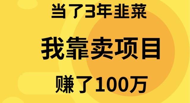 当了3年韭菜，我靠卖项目赚了100万网创吧-网创项目资源站-副业项目-创业项目-搞钱项目网创吧