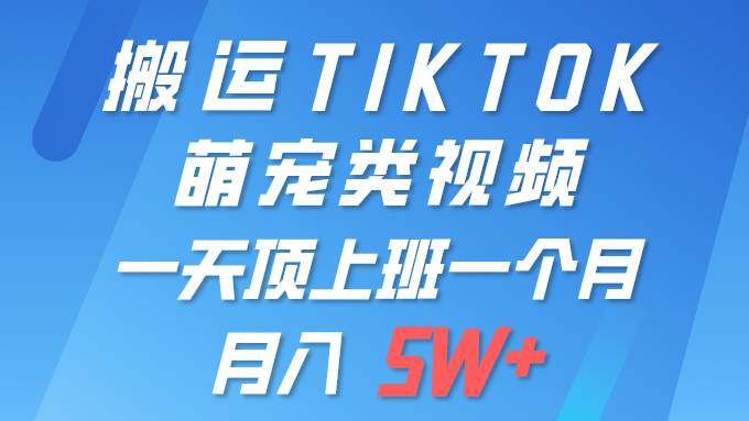 一键搬运TIKTOK萌宠类视频 一部手机即可操作 所有平台均可发布 轻松月入5W+网创吧-网创项目资源站-副业项目-创业项目-搞钱项目网创吧