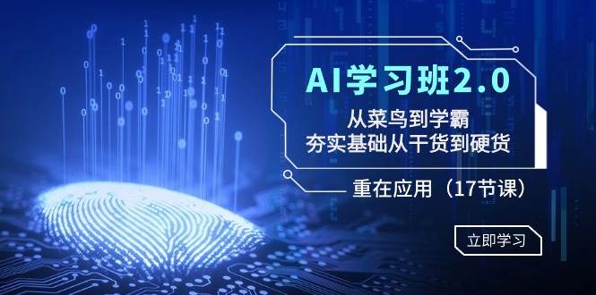 AI学习班2.0：从菜鸟到学霸，夯实基础从干货到硬货，重在应用（17节课）网创吧-网创项目资源站-副业项目-创业项目-搞钱项目网创吧