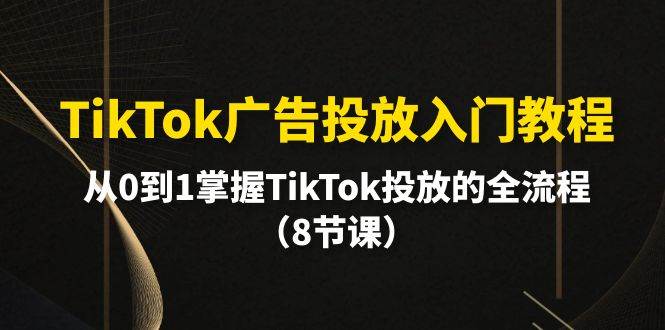 TikTok广告投放入门教程，从0到1掌握TikTok投放的全流程（8节课）网创吧-网创项目资源站-副业项目-创业项目-搞钱项目网创吧