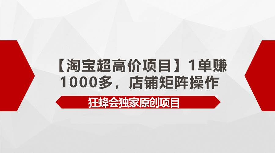 【淘宝超高价项目】1单赚1000多，店铺矩阵操作网创吧-网创项目资源站-副业项目-创业项目-搞钱项目网创吧