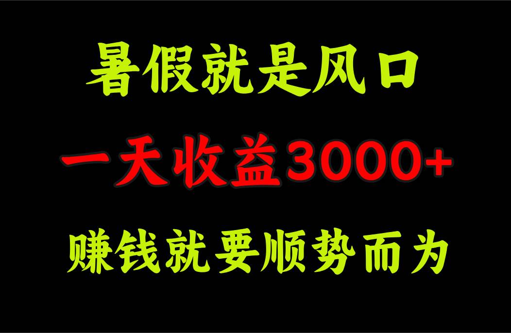 一天收益3000+ 赚钱就是顺势而为，暑假就是风口网创吧-网创项目资源站-副业项目-创业项目-搞钱项目网创吧