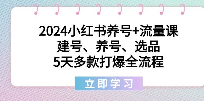 2024小红书养号+流量课：建号、养号、选品，5天多款打爆全流程网创吧-网创项目资源站-副业项目-创业项目-搞钱项目网创吧