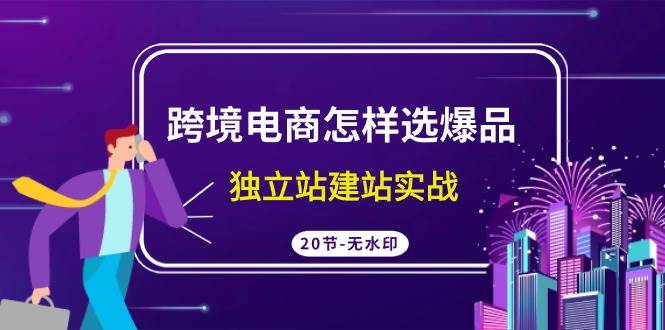 跨境电商怎样选爆品，独立站建站实战（20节高清无水印课）网创吧-网创项目资源站-副业项目-创业项目-搞钱项目网创吧