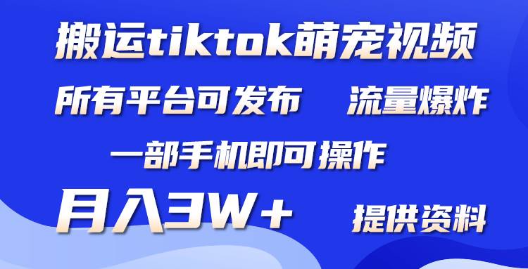 搬运Tiktok萌宠类视频，一部手机即可。所有短视频平台均可操作，月入3W+网创吧-网创项目资源站-副业项目-创业项目-搞钱项目网创吧