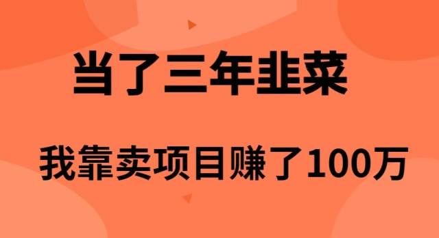 当了3年韭菜，我靠卖项目赚了100万网创吧-网创项目资源站-副业项目-创业项目-搞钱项目网创吧