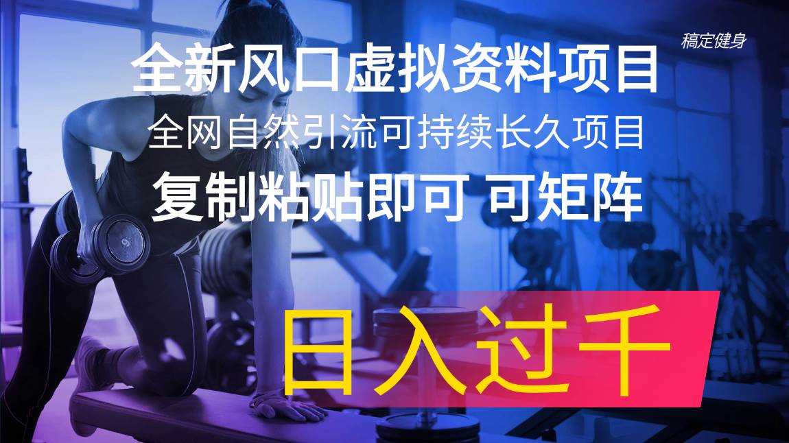 全新风口虚拟资料项目 全网自然引流可持续长久项目 复制粘贴即可可矩阵…网创吧-网创项目资源站-副业项目-创业项目-搞钱项目网创吧