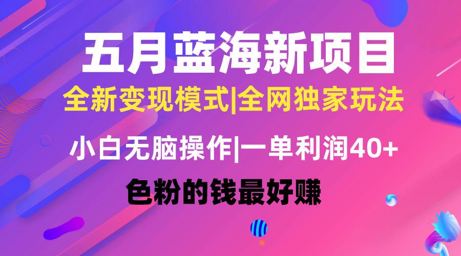 五月蓝海项目全新玩法，小白无脑操作，一天几分钟，矩阵操作，月入4万+网创吧-网创项目资源站-副业项目-创业项目-搞钱项目网创吧