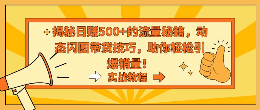 揭秘日赚500+的流量秘籍，动态闪图带货技巧，助你轻松引爆销量！网创吧-网创项目资源站-副业项目-创业项目-搞钱项目网创吧