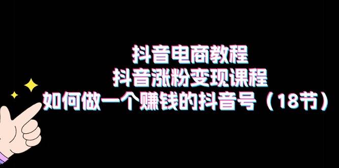 抖音电商教程：抖音涨粉变现课程：如何做一个赚钱的抖音号（18节）网创吧-网创项目资源站-副业项目-创业项目-搞钱项目网创吧