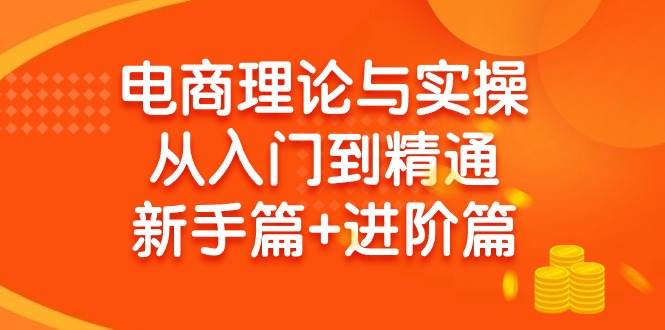 电商理论与实操从入门到精通 新手篇+进阶篇网创吧-网创项目资源站-副业项目-创业项目-搞钱项目网创吧