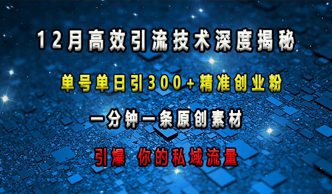 12月高效引流技术深度揭秘 ，单号单日引300+精准创业粉，一分钟一条原创素材，引爆你的私域流量网创吧-网创项目资源站-副业项目-创业项目-搞钱项目网创吧