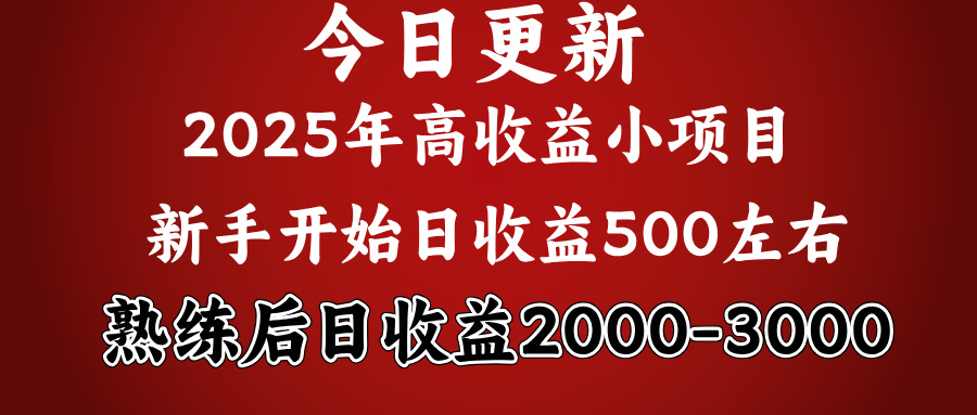 好项目一眼就能看出来，日收益1000，长久可做，2025拼的就是我比你勤奋网创吧-网创项目资源站-副业项目-创业项目-搞钱项目网创吧